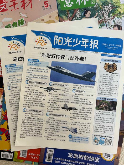 【暑期阅读】文学阅读兴趣包（阳光少年报领衔5款2026年现货组合） 商品图6