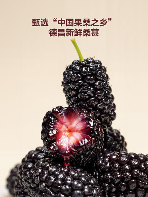 聚便利 x 山姆 桑葚醋饮料 280ml/瓶 商品图1
