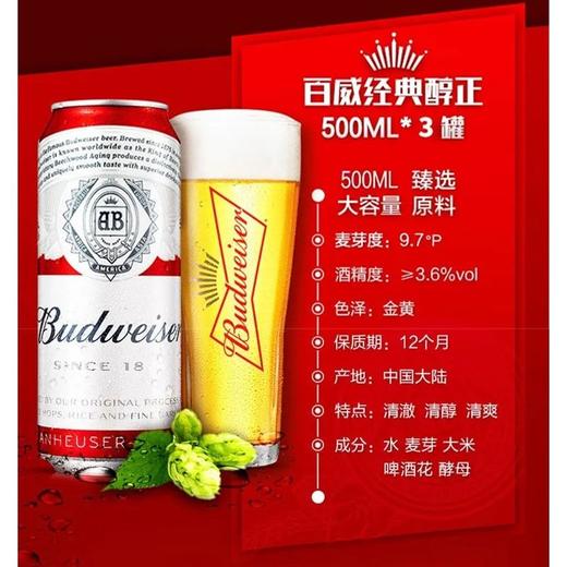 百威500ml啤酒KA版三连包 商品图2