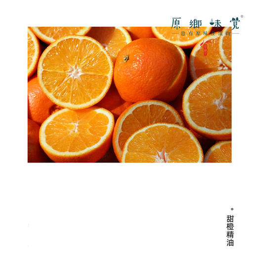 洋甘菊植物皂液/沐浴露（成都仓库-顺丰发货）|500ml/瓶，来自广东中山，生产者：旗溪【合作生产，公平贸易 】 商品图5