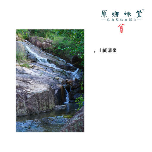 洋甘菊植物皂液/沐浴露（成都仓库-顺丰发货）|500ml/瓶，来自广东中山，生产者：旗溪【合作生产，公平贸易 】 商品图3
