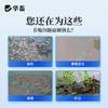 华畜 偷死T调节肠胃 免疫力强 养殖常备 商品缩略图2