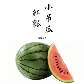 【消暑特惠包邮装】小吊西瓜 | 红壤西瓜，脆甜爽口