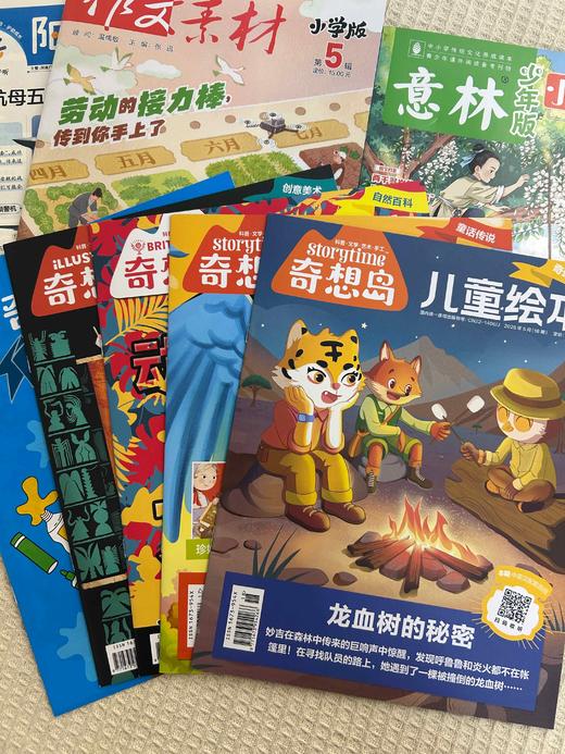【暑期阅读】文学阅读兴趣包（阳光少年报领衔5款2026年现货组合） 商品图4