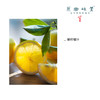 洋甘菊植物皂液/沐浴露（成都仓库-顺丰发货）|500ml/瓶，来自广东中山，生产者：旗溪【合作生产，公平贸易 】 商品缩略图6