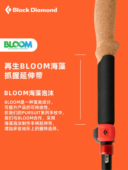 【国行正品】BlackDiamond黑钻bd追求碳素可调节折叠杖登山徒步手杖112562 商品图3