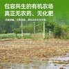 高家庄有机大米 | 粳米保留胚芽 江苏泗阳 基地直发 商品缩略图1