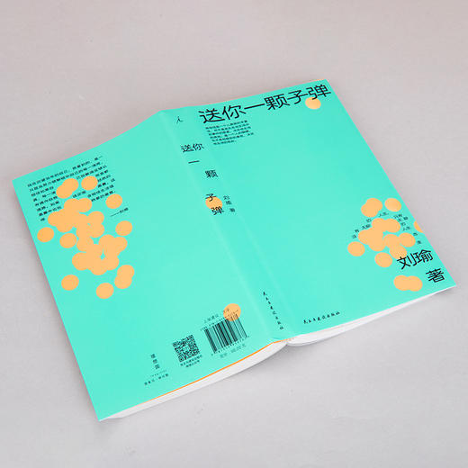 送你一颗子弹  刘瑜 著（可选购定制冰丝棉布包版） 商品图6