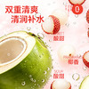 【清凉一夏】椰子知道 （青瓜/荔枝）椰子水饮品 310ml*6/310ml*20★棒棒糖优选 商品缩略图9