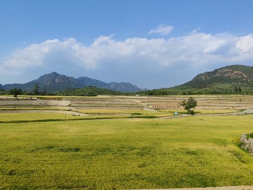 千亩梯田生态面粉|劲道细腻 麦香浓郁 商品图1