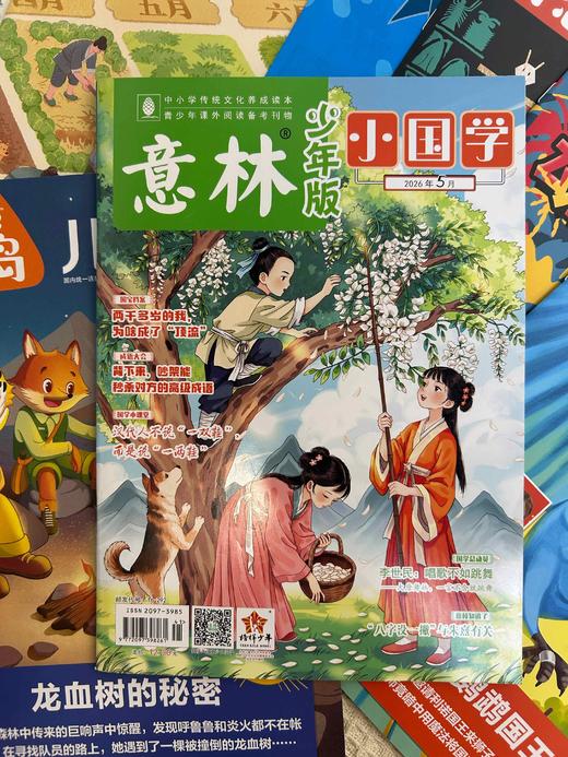 【暑期阅读】文学阅读兴趣包（阳光少年报领衔5款2026年现货组合） 商品图3
