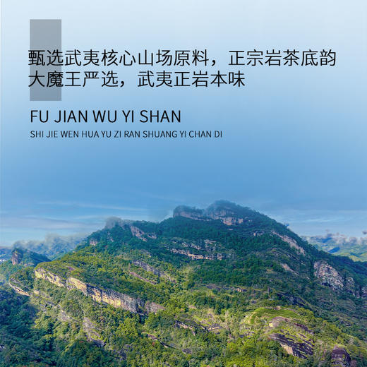 【茶圈大魔王】正岩风味合集水仙/肉桂/大红袍/奇兰 商品图1