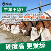 华畜牛羊舔砖 营养 坚固耐舔 羊用盐块舔砖 商品缩略图1