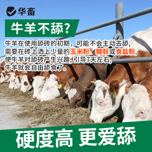 华畜牛羊舔砖 营养 坚固耐舔 羊用盐块舔砖 商品图1