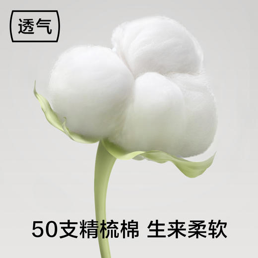 有棵树女士内裤纯棉全棉裆7A抗菌三角裤（三条装）YSWU3064 商品图2