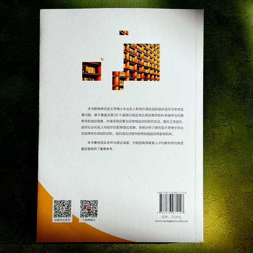 从研究型大学到地方高校 博士毕业生的适应挑战与学术发展 李永刚 商品图2