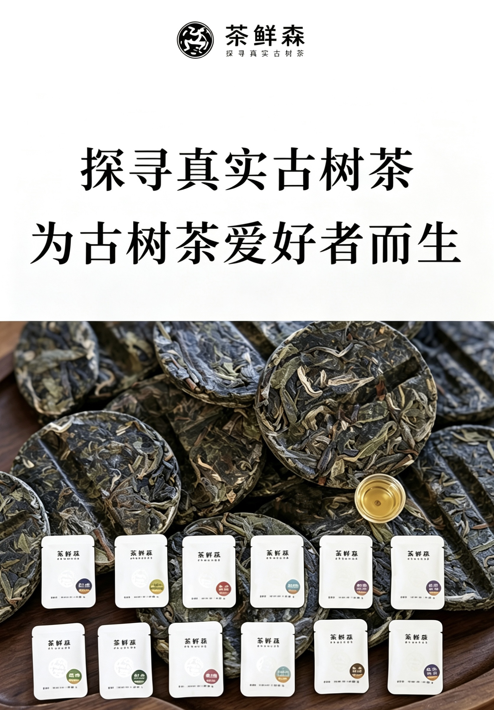 茶鲜森山头古树小饼自选礼盒 21泡/盒 独立包装 免撬 方便 出差旅行必备