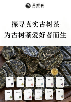 茶鲜森山头古树小饼自选礼盒 21泡/盒 独立包装 免撬 方便 出差旅行必备