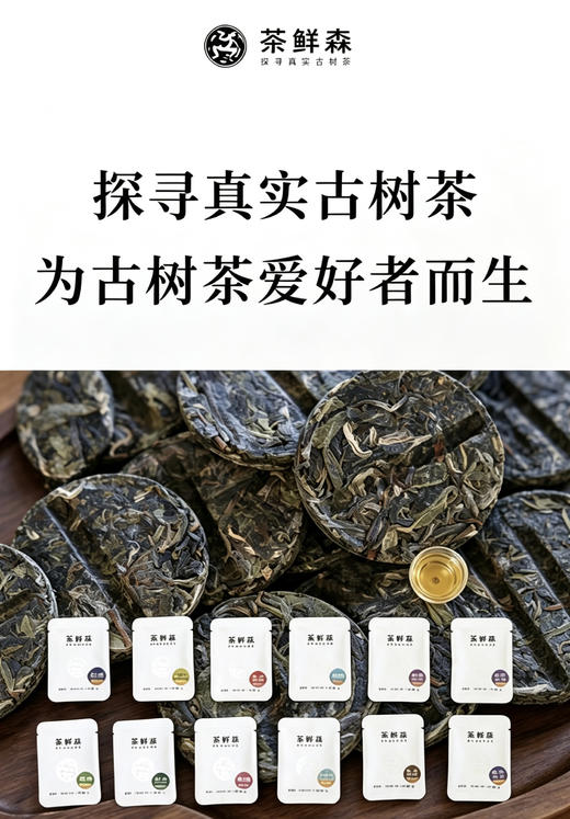 茶鲜森山头古树小饼自选礼盒 21泡/盒 独立包装 免撬 方便 出差旅行必备 商品图0