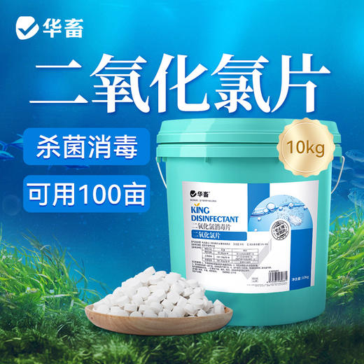 华畜二氧化氯片水产养殖鱼塘消毒杀菌鱼虾池塘水库消毒剂 商品图0