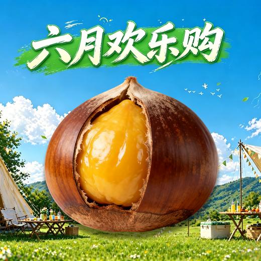 炒栗子250g 商品图0