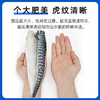 市舶士挪威进口青花鱼包邮冷冻新鲜深海鱼片海鲜水产 商品缩略图1