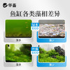 藻静500ml 商品缩略图3