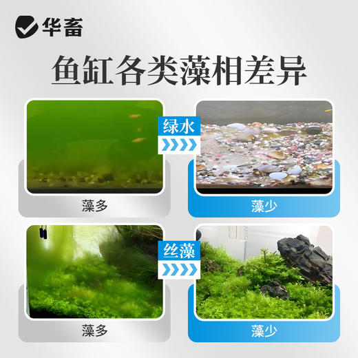 藻静500ml 商品图3