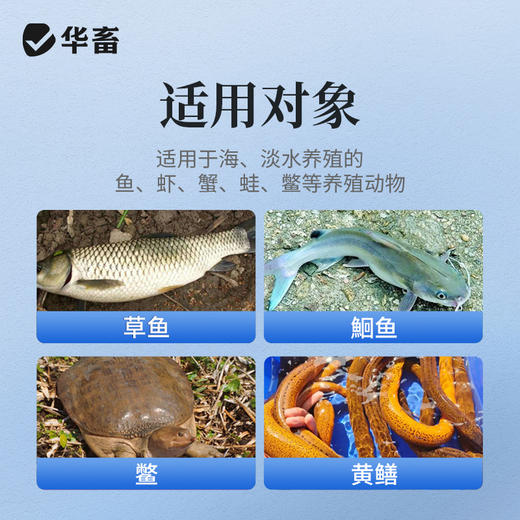 华畜水产用血宁草鱼鲫鱼鮰鱼虾蟹 出血 败血通用 商品图3