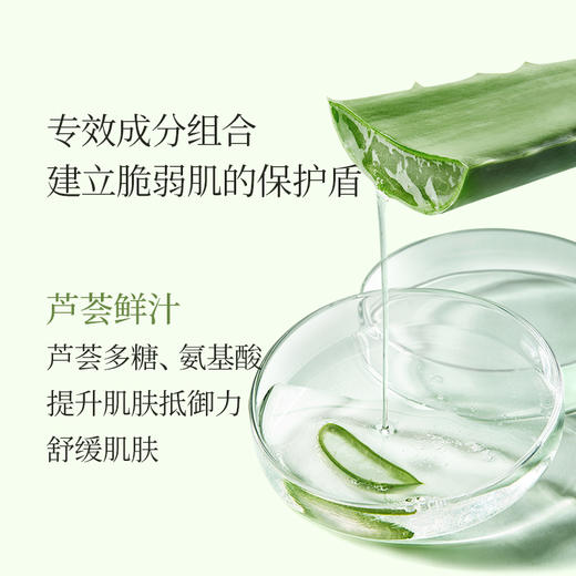 【￥39秒】瑷露德玛芦荟舒润洁面乳100g 商品图3