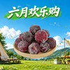 【限时秒杀】冰杨梅256g 商品缩略图0