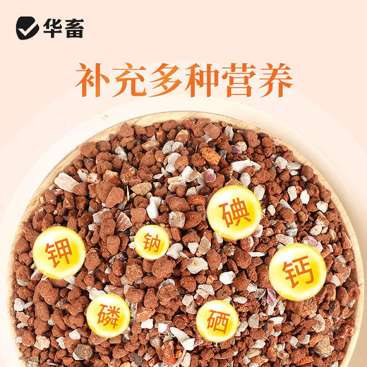 华畜 鸽子高钙颗粒砂5斤装  高钙鸟食 增进食欲 强化骨骼 帮助鸟儿消化 适合多种鸟类 商品图1