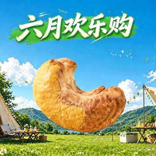 腰果仁（带衣腰果）350g 商品图0
