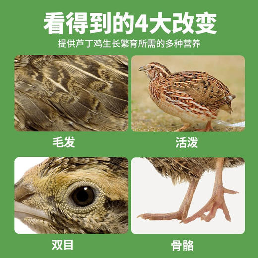 芦丁鸡饲料500g8合1芦丁鸡主粮混合蔬菜粒育雏芦丁鸡食粮产蛋粮 商品图2