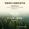 正安 九子包暖足贴 温阳草本研磨 4小时恒温发热   5袋/盒 手脚冰凉虚寒拉肚子经期老寒腿  （有效期至27年1月11日） 商品缩略图11