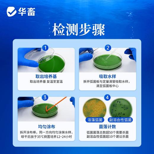 华畜弧菌克星弧净清水产养殖鱼虾杀菌白斑空肠空胃噬菌海缸弧克 商品图1
