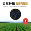 【买二送一❗️骐祥堂黄芪黑豆】0 香精 0 色素 0 防腐剂，纯自然原料制作，黄芪与黑豆科学配比，黑豆绵密入味带着黄芪香气，口感醇香不齁，开罐即食日常养生，美味健康无负担，200g罐装方便食用 L 商品缩略图2