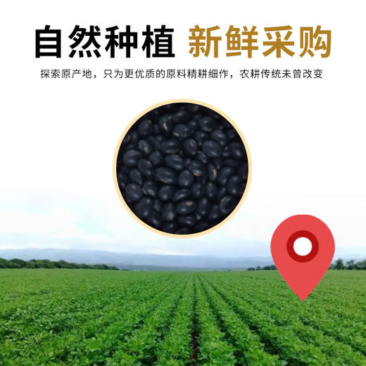 【买二送一❗️骐祥堂黄芪黑豆】0 香精 0 色素 0 防腐剂，纯自然原料制作，黄芪与黑豆科学配比，黑豆绵密入味带着黄芪香气，口感醇香不齁，开罐即食日常养生，美味健康无负担，200g罐装方便食用 L 商品图2