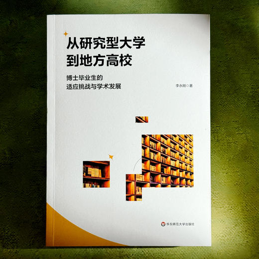 从研究型大学到地方高校 博士毕业生的适应挑战与学术发展 李永刚 商品图1