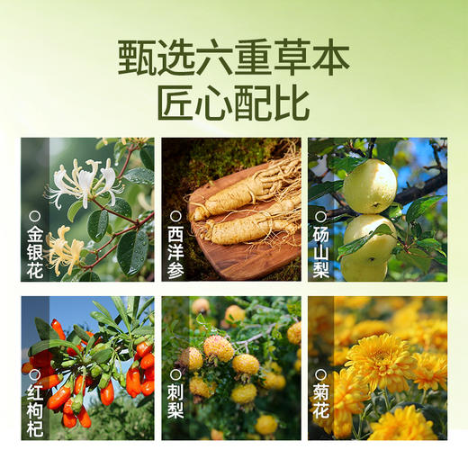 “支持试喝6袋”宁之春 金银花西洋参原浆饮 清润回甘 清爽醇厚 30ml/袋 商品图5
