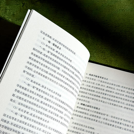 创建优质学校的六项行动 学校变革手册 一校一策 商品图8