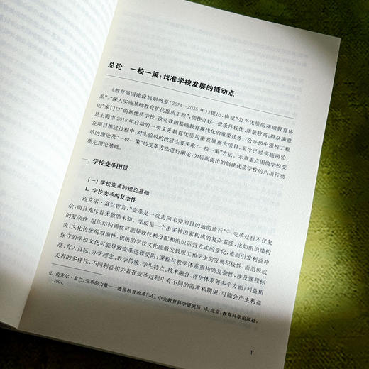 创建优质学校的六项行动 学校变革手册 一校一策 商品图13