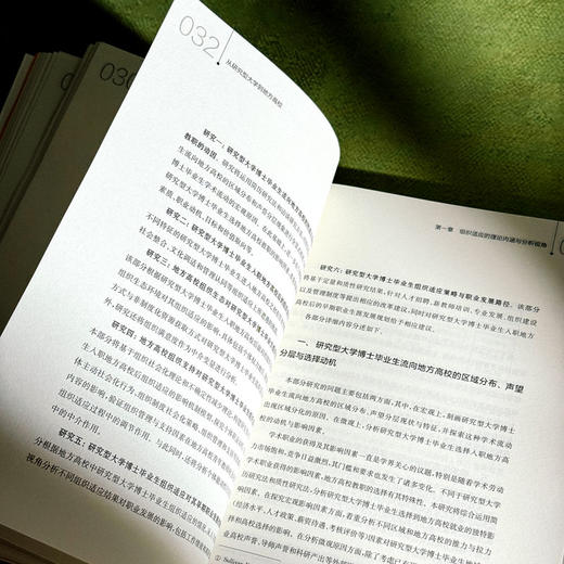 从研究型大学到地方高校 博士毕业生的适应挑战与学术发展 李永刚 商品图10