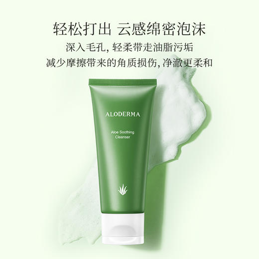 【￥39秒】瑷露德玛芦荟舒润洁面乳100g 商品图1