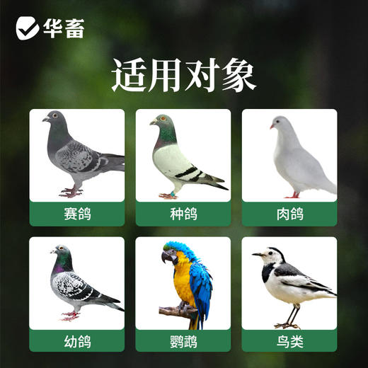 华畜 鸽子高钙颗粒砂5斤装  高钙鸟食 增进食欲 强化骨骼 帮助鸟儿消化 适合多种鸟类 商品图3