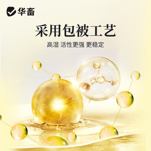 华畜超浓缩vc鱼虾蟹抗应激水产用保苗助长维生素多维应激宝 商品图2