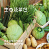 【份额】生态蔬菜包（农场直发-顺丰包邮）| 4.5斤/箱，6斤/箱，单次体验/月度份额/年度份额【原乡农场，自产自销】【下单请先阅读注意事项】 商品缩略图0