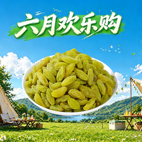 葡萄干250g