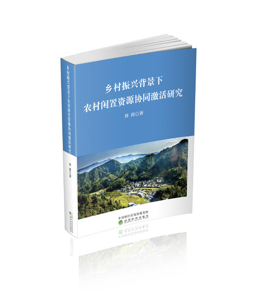 乡村振兴背景下农村闲置资源协同激活研究 商品图0