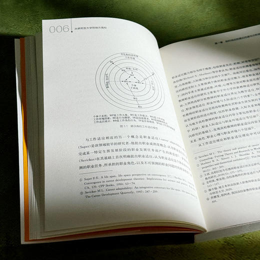 从研究型大学到地方高校 博士毕业生的适应挑战与学术发展 李永刚 商品图8